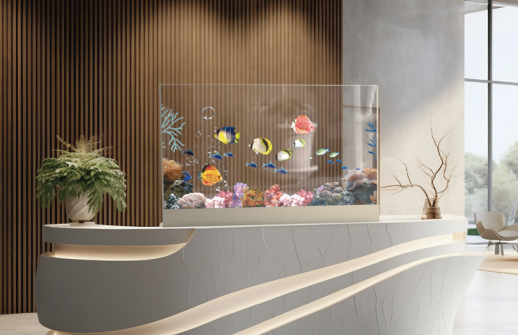 Transparent OLED Desktop Display